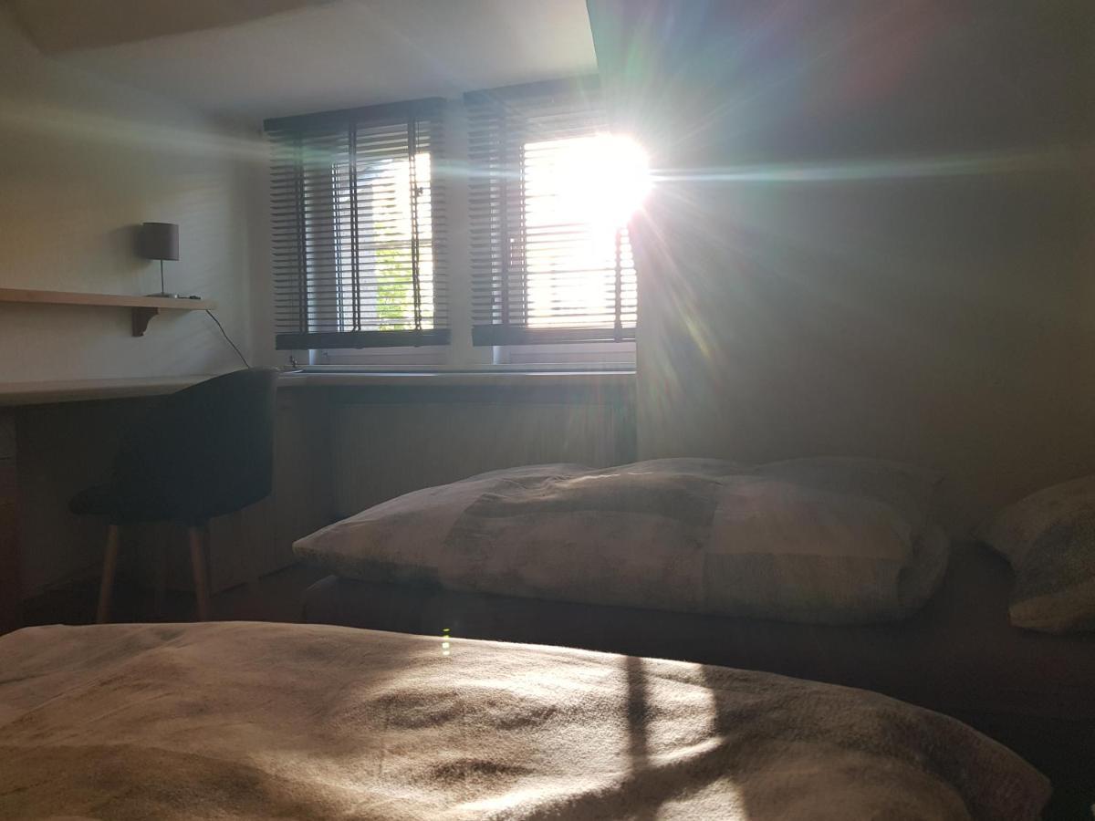 Apartment Am Suedpark Erfurt - Inkl Garten Mit Sitzlounge - Zentrumsnah Eksteriør bilde