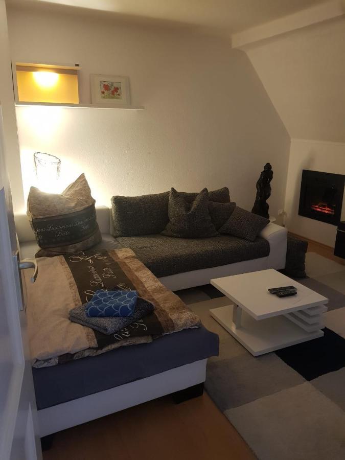 Apartment Am Suedpark Erfurt - Inkl Garten Mit Sitzlounge - Zentrumsnah Eksteriør bilde