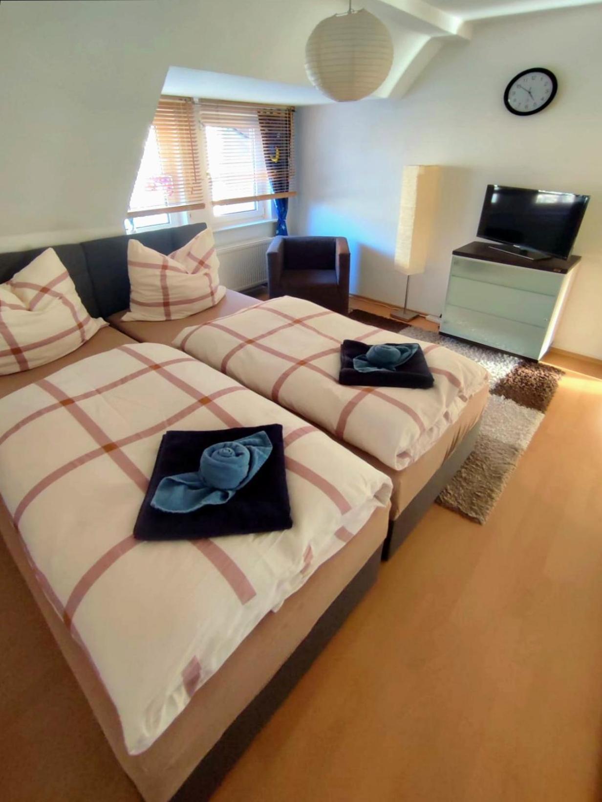 Apartment Am Suedpark Erfurt - Inkl Garten Mit Sitzlounge - Zentrumsnah Eksteriør bilde