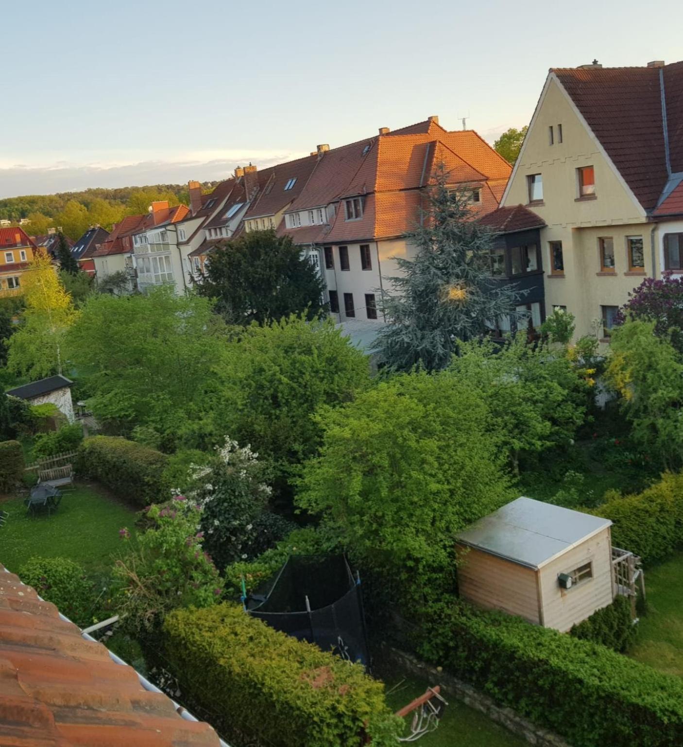 Apartment Am Suedpark Erfurt - Inkl Garten Mit Sitzlounge - Zentrumsnah Eksteriør bilde